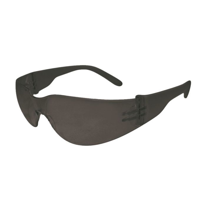 PSP 28-005 v.bril Basic PC lens donker